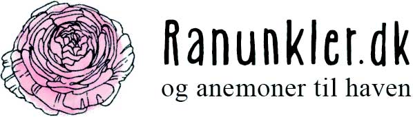 logo-ranunkler